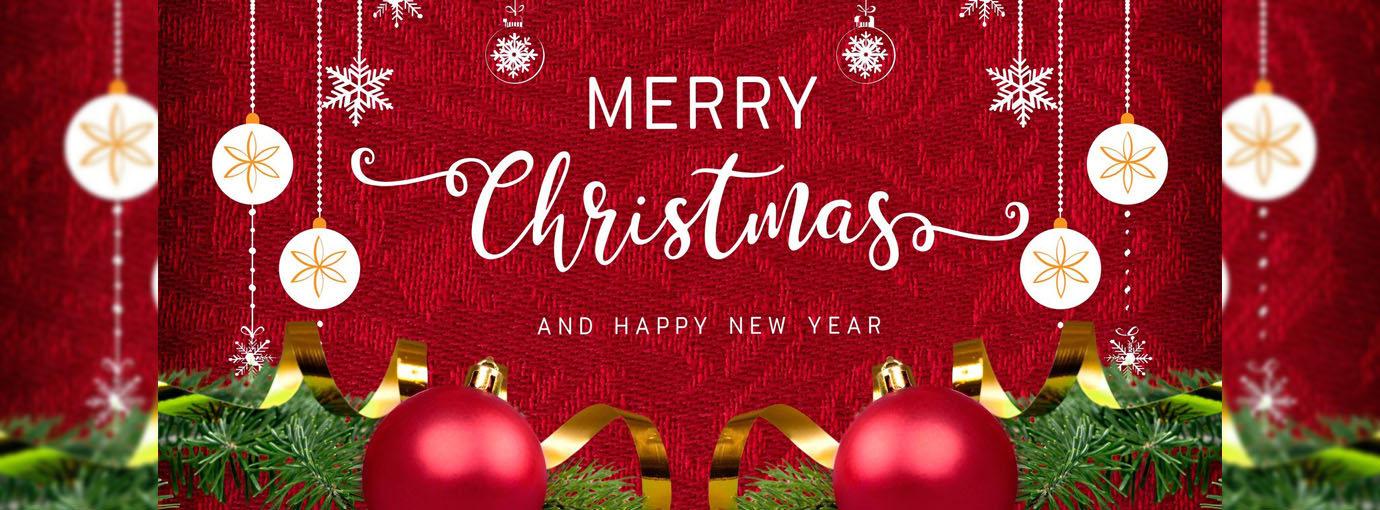 High on Bikes Sales Store 1 High on Bikes Sales Store -High on Bikes Sales Store 85